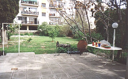 our garden looking greener in March