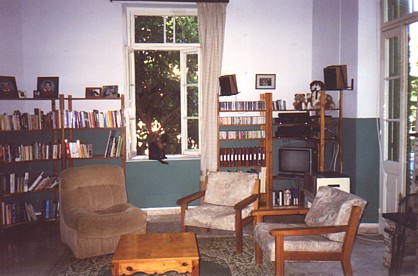 the living room after we painted the lower part of it green