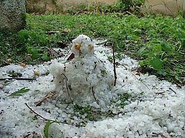the hail man