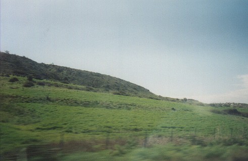 seeing greenery by the side of the Limassol highway