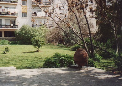 our garden at the end of March