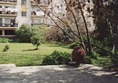Our garden in March