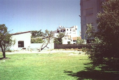 our garden after we pulled out the long weeds