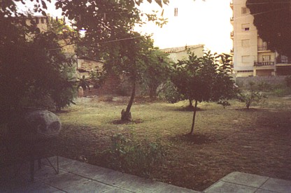 our garden beginning to turn brown in the summer