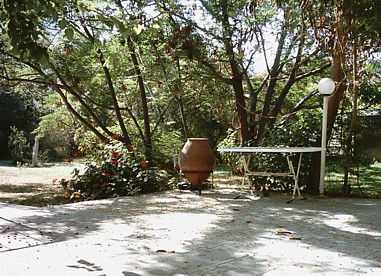 The patio in our back garden, once again covered in fallen mulberries