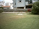 Looking down the garden