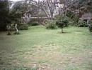 Green garden