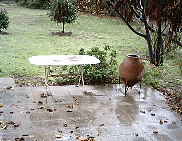our patio, and the garden looking green after all the winter rain