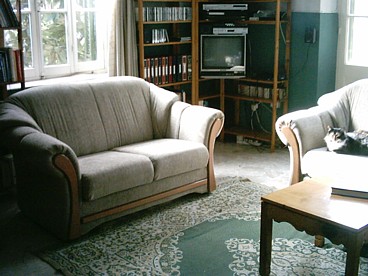 the new sofas that we bought, and Tessie - one of the cats - making herself comfortable on one of them