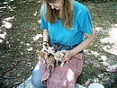 Feral kittens
