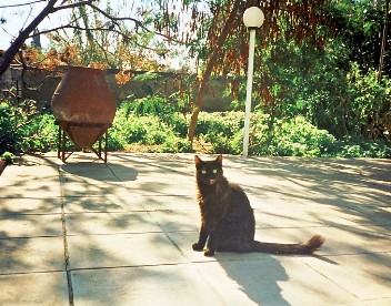 Jemima enjoys the sunshine