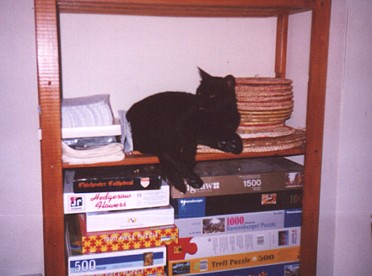 Cleo pretending to be a mat