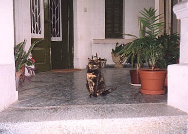 Sophia on our front porch