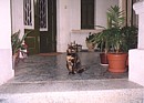 Sophia on the porch