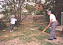 playing cricket