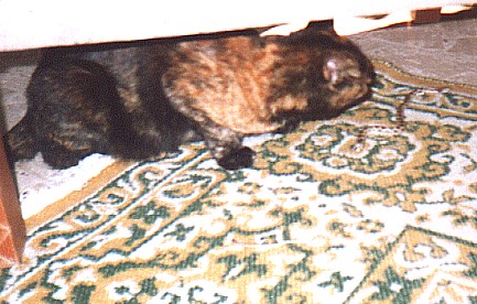 Sophia with the snake she caught in the garden